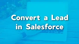 How to Convert a Lead in Salesforce | Convert into account contact opportunity | User Training