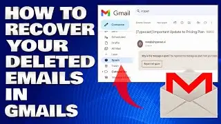 How To Recover Your Deleted Emails in Gmails [Guide]