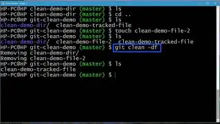 039 Cleaning Git repository Lab