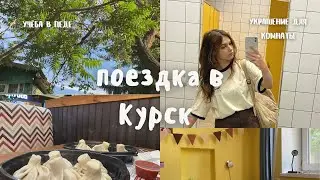 ₊ 𓍢 🎟️ влог: поездка в курск и болтовняִ