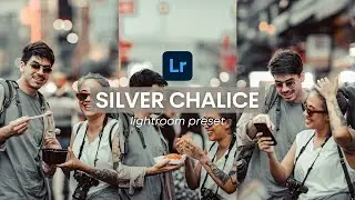 Silver Chalice Lightroom Preset | Free Lightroom Preset Tutorial | How to Edit Grey Lightroom Preset