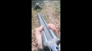 💥 BEAR attacks russian man...