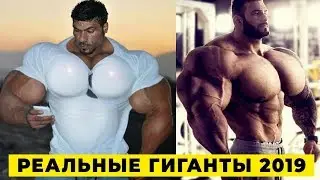 7 Настоящих Халков, Которые Живут На Земле