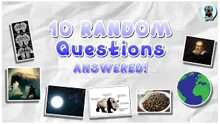 10 ANSWERS TO RANDOM QUESTIONS... you never asked