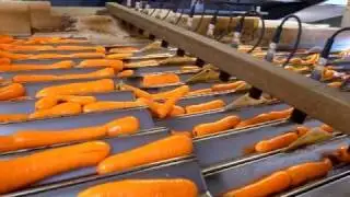 Newtec калибровка моркови