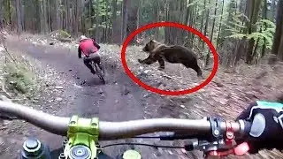 ТОП 5 СТРАШНЫХ ВЕЩЕЙ СНЯТЫХ НА КАМЕРУ GoPro
