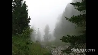 Ф. Лист Соната си минор В. Софроницкий