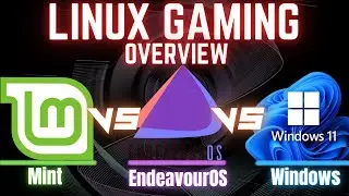 EndeavourOS vs Mint vs Windows 11 | Linux gaming vs Windows using a 4080 Super | 1440p | 4k | RT