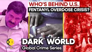 Fentanyl overdose crisis in USA: An American drug epidemic | Dark World