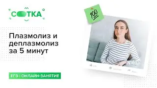 Плазмолиз и деплазмолиз за 5 минут | БИОЛОГИЯ ЕГЭ | СОТКА