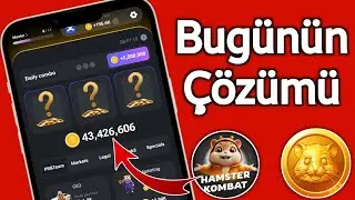 23-24 Ağustos Hamster Kombat Günlük Kombo ve Günlük Şifre Kodu Bugün 🔥