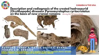 Rediagnosis of the Crested Hadrosaurid (Ornithopoda) dinosaur - Science News and Research News