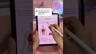 your iPad sounds like pencil on paper?! 🤩 apple pencil tips | screen protector | iPad accessories