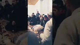 Тулки, назму, на даргинском про смерть