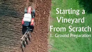 Starting a Vineyard from Scratch Part 1. Ground Preparation.