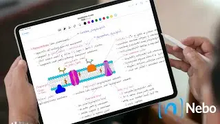 Documents in Nebo (2023) | Everything you need to know