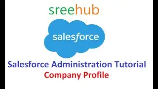 16 Salesforce Administration - Company Profile