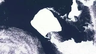 Worlds largest iceberg off Antarctica stuck since 1986 breaks free