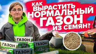 МЕЧТАЕТЕ О ГАЗОНЕ? Вначале посмотрите этот ролик! ВСЕ О ВЫРАЩИВАНИИ ГАЗОНА