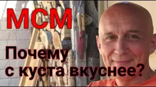 Чудо МСМ. Органическая сера