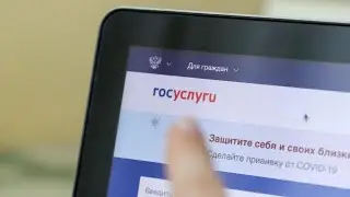 Вход на порносайт через Госуслуги