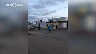 в Нижнекамске ловят страуса