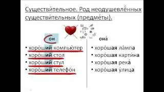 Free lesson 24. Russian as a foreign language. The noun.