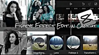 Fisheye Effect Edit in Capcut