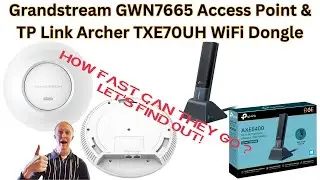 Grandstream GWN7665 Access Point & TP Link Archer TXE70UH WiFi Dongle