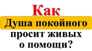 Просьбы, знаки и символы с того света: как Душа покойного просит живых о помощи?