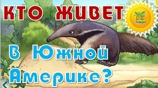 КТО ЖИВЕТ В ЮЖНОЙ АМЕРИКЕ познавательный мультик