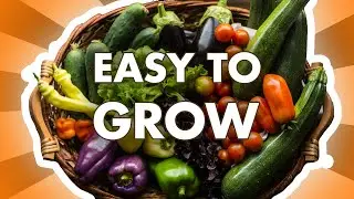 5 EASY TO GROW Vegetables Every Beginner Gardener Should Try!