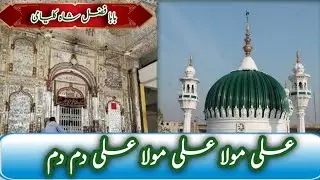 ALI MOLA ALI MOLA ALI DAM DAM | Baba Fazal Shah Kalyani Darba Qwali |دربار بابا فضل  شاہ کلیامی|