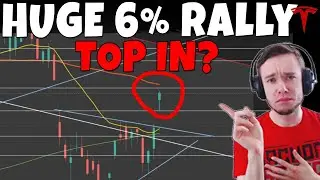 TESLA Stock - Huge 6% Rally! Is This The Top? 4.5 million Options Whale