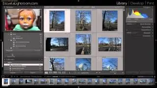 Nuevo Lightroom CC - Filtro de Colecciones