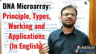 DNA Microarray: Principle, Types, Working and Applications