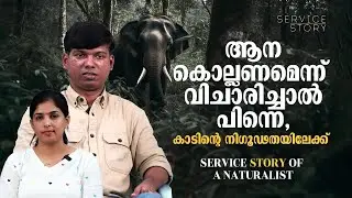 ആരാണ് കാട്ടിലെ ഏറ്റവും അക്രമകാരി, മുന്നിൽപെട്ടാൽ എങ്ങനെ രക്ഷപ്പെടാം I Service story of a Naturalist