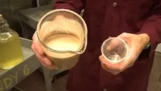 Through the Grapevine: How to Make White Wine