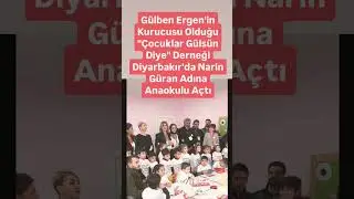 Gülben Ergen 