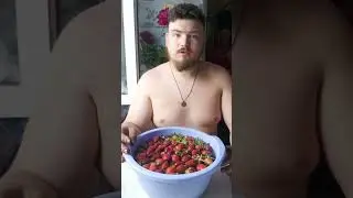 Сбор за день клубники #дача #рецепт #cute #рецепты #еда #farming