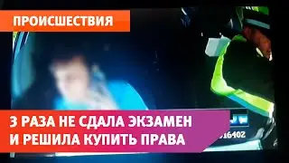 Женщина не сдала экзамен и решила купить поддельные права