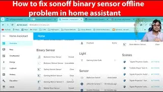 How to fix sonoff binary sensor offline problem in home assistant