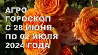 Агрогороскоп с 28 июня по 02 июля 2024 года Agrohoroscope from June 28 to July 2, 2024