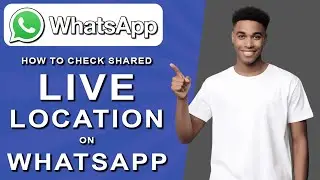 How to check shared live location on whatsapp (2024)