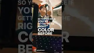 Make sure you have a reference monitor when color-grading 🔥🔥🔥