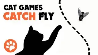 CAT GAMES ★ CATCH FLY ON THE SCREEN for cats