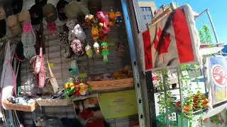 🇨🇦 WALKING TOUR of The Container Village in Saint John - Bay of Fundy ✨🍁