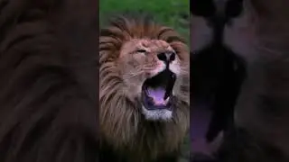 #ребята#это#конец#я влюбтлась в этот remix#♡♡