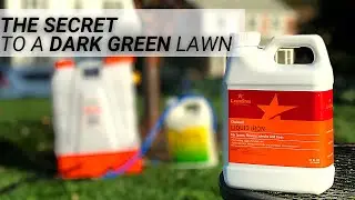 🔥 LawnStar Liquid Iron 🔥 For that double dark green turf