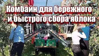 Комбайн для бережного и быстрого сбора яблока